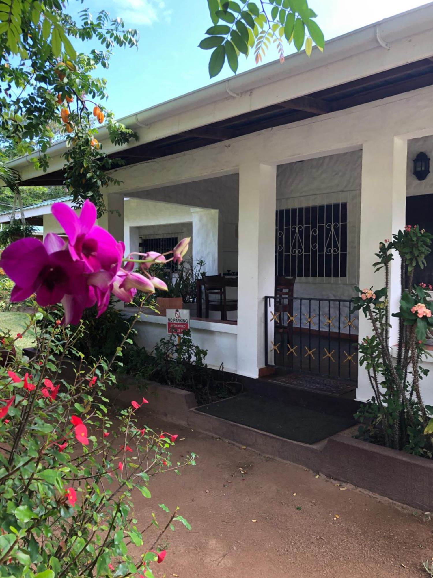 Hcs Bungalows Turtle Bay Rustic Bungalow Au Cap Exterior photo