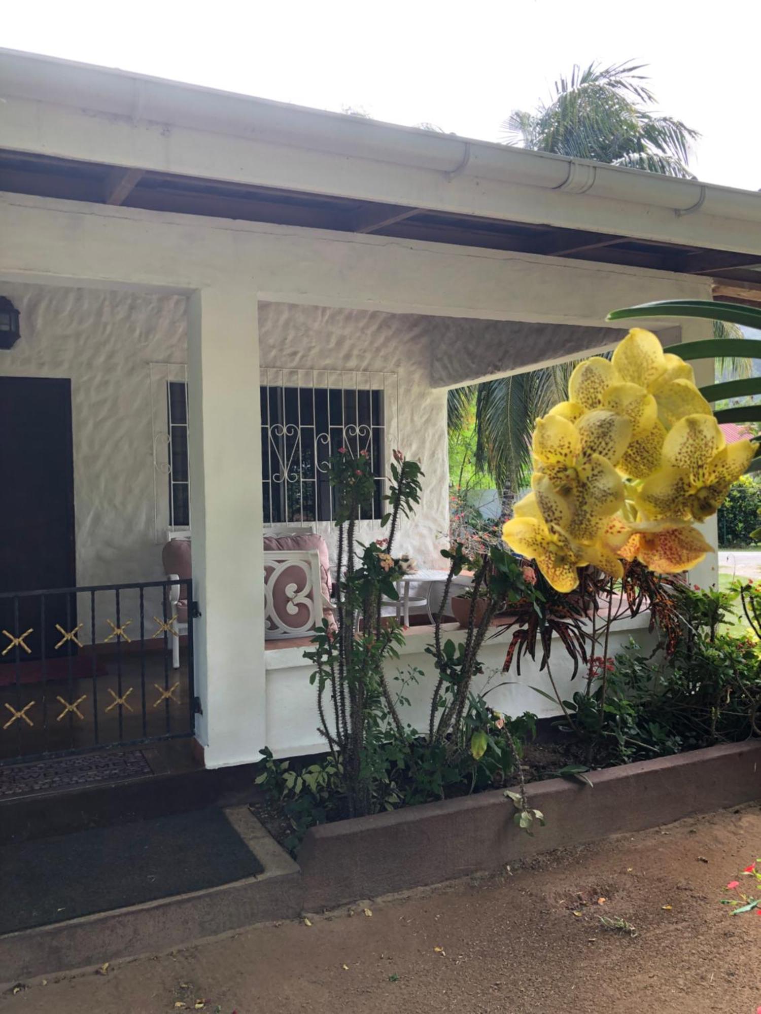 Hcs Bungalows Turtle Bay Rustic Bungalow Au Cap Exterior photo