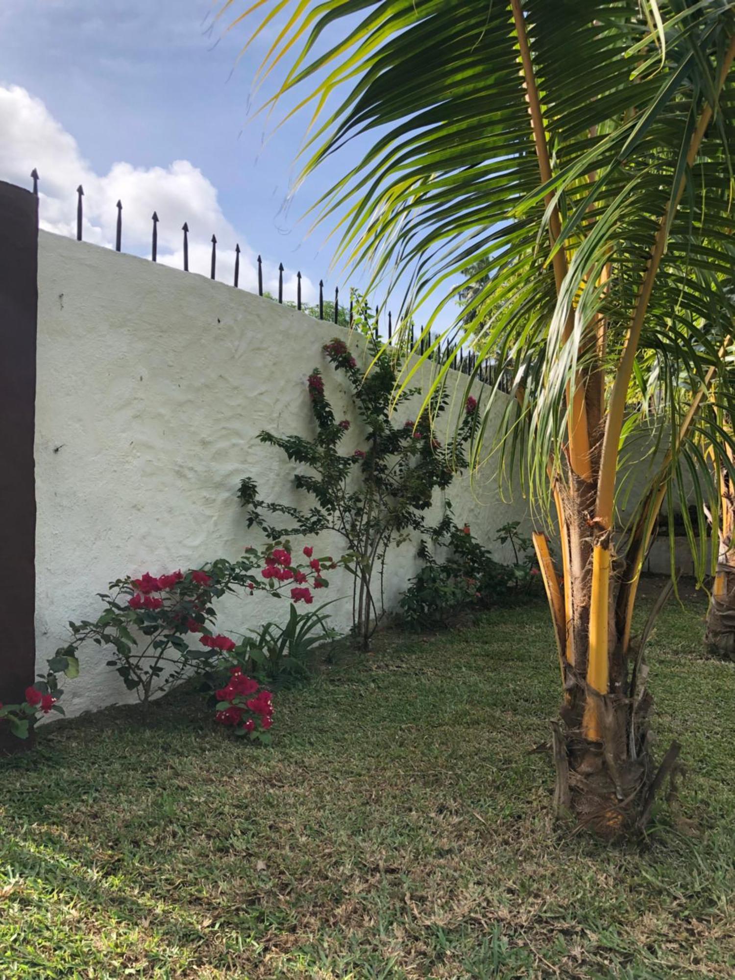 Hcs Bungalows Turtle Bay Rustic Bungalow Au Cap Exterior photo