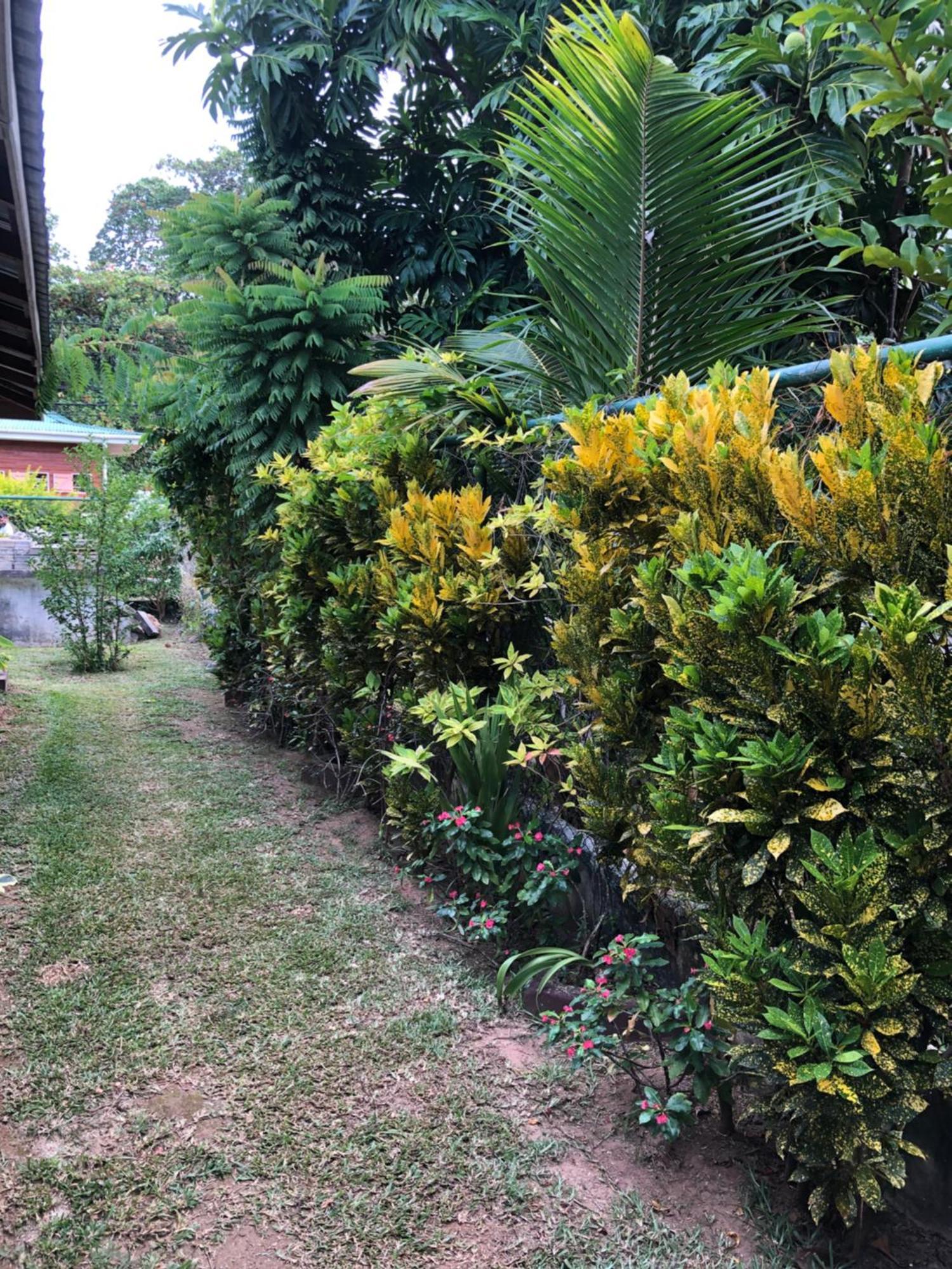 Hcs Bungalows Turtle Bay Rustic Bungalow Au Cap Exterior photo